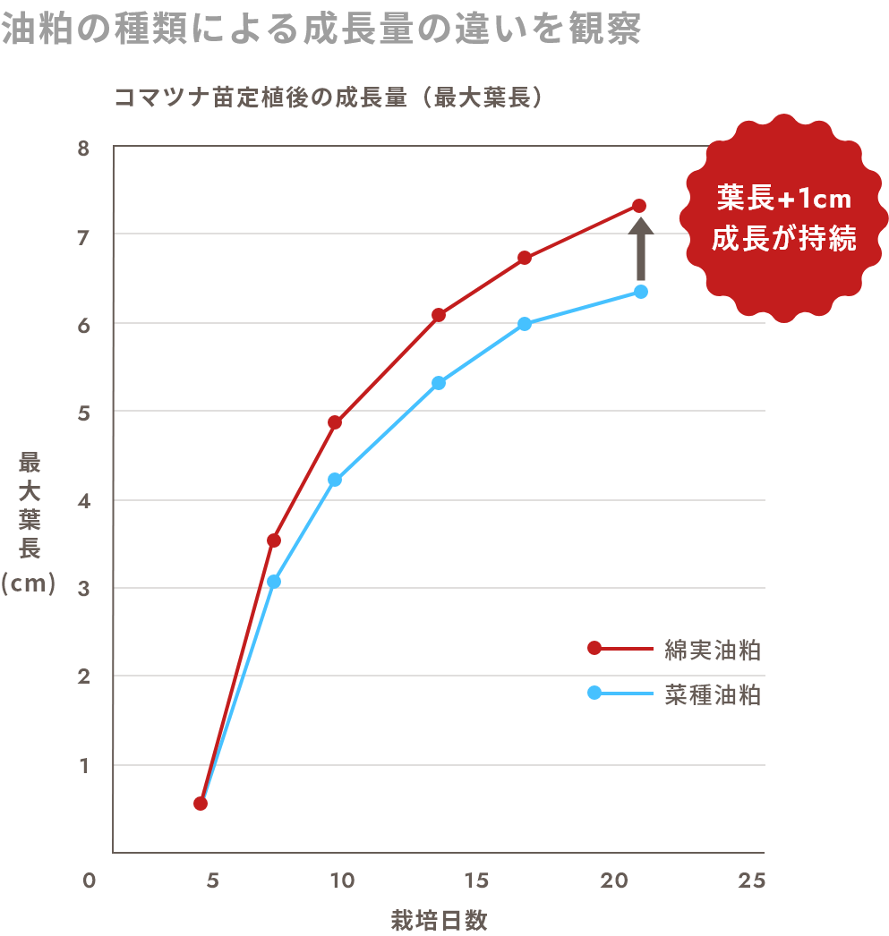 油粕の種類による成長量の違いを観察