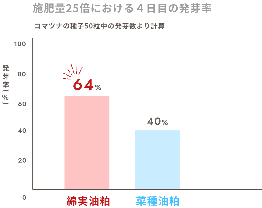 施肥量25倍における４日目の発芽率